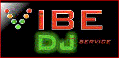 Vibe DJ Service